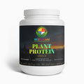 Plant Protein (Vanilla)
